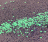 Winter Nights (with glow in dark stars) mix glitter - Holiday Edition