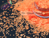 ORANGE POP - Matte Neon Orange glitter MIX!