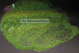 ALI GATOR Holographic glitter- Pixie Dust( extra fine glitter)