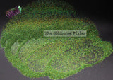 ALI GATOR Holographic glitter- Pixie Dust( extra fine glitter)