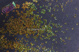 GOLD holographic  effects MOON shape Glitter- Pixie Shapes