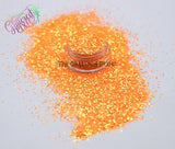 SUN KISSED .8mm glitter - Aurora Australis -