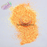 SUN KISSED .8mm glitter - Aurora Australis -