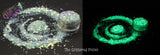 GHOST LIGHTS Glow In The Dark Glitter mix - Fantasy Charade-