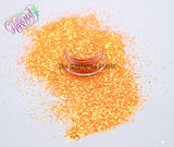 SUN KISSED .8mm glitter - Aurora Australis -
