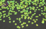SOUR APPLE GREEN holo fx 4 Leaf Clover shpe glitter