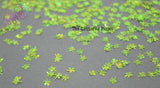 SOUR APPLE GREEN holo fx 4 Leaf Clover shpe glitter