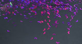 GRAPE NERDZ small BAT shaped Glitter- Pixie Shapes-