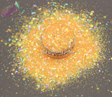 SUNNI DEE glitter mix- Pixie Glitz-