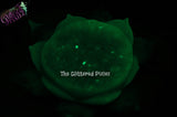 GLOW WORM glow in the dark powder -