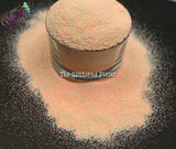 SHIMMY SHAM Fine Glitter mix- Summer fantasy -