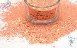 PEACH MACARON glitter Mix Fun Pastel Sheen Loose Glitter for Nail art Hair Face Body Tumblers Craft supply Resin supply Freshie Glitter