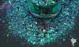 POW POW PAOLA holo Fx chunky glitter mix Fun Loose for Nail art Hair Face Body Tumblers Craft supply Resin supply Freshie Glitter