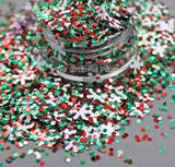 RED n' GREEN MERRY CHRISTMAs Glitter mix