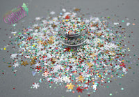 WINTER WONDER LAND Glitter mix w/glow in the dark stars -