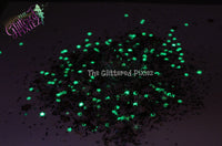 WINTER WONDER LAND Glitter mix w/glow in the dark stars -