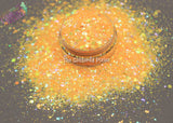 SUNNI DEE glitter mix- Pixie Glitz-